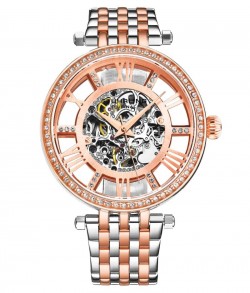 Delphi 3944 38mm Skeleton